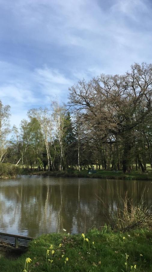 Le Gite Du Petit Renard: A Tranquil Gite With Pool Oradour-Saint-Genest Eksteriør bilde