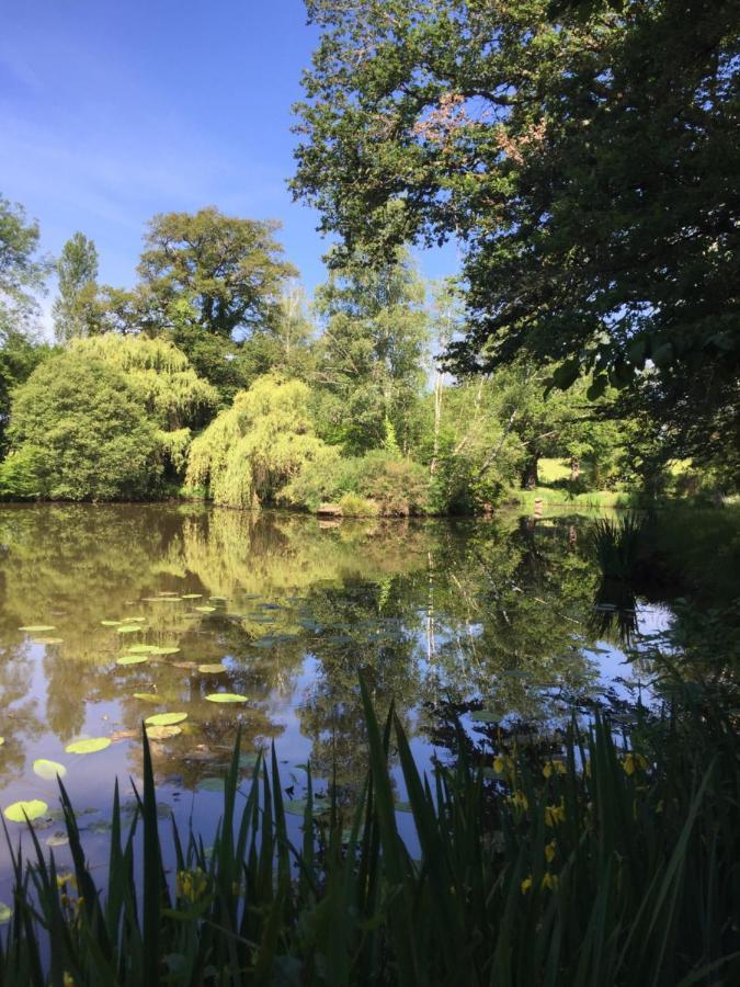 Le Gite Du Petit Renard: A Tranquil Gite With Pool Oradour-Saint-Genest Eksteriør bilde